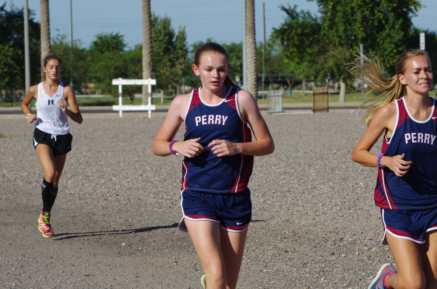 IMGP3639.jpg