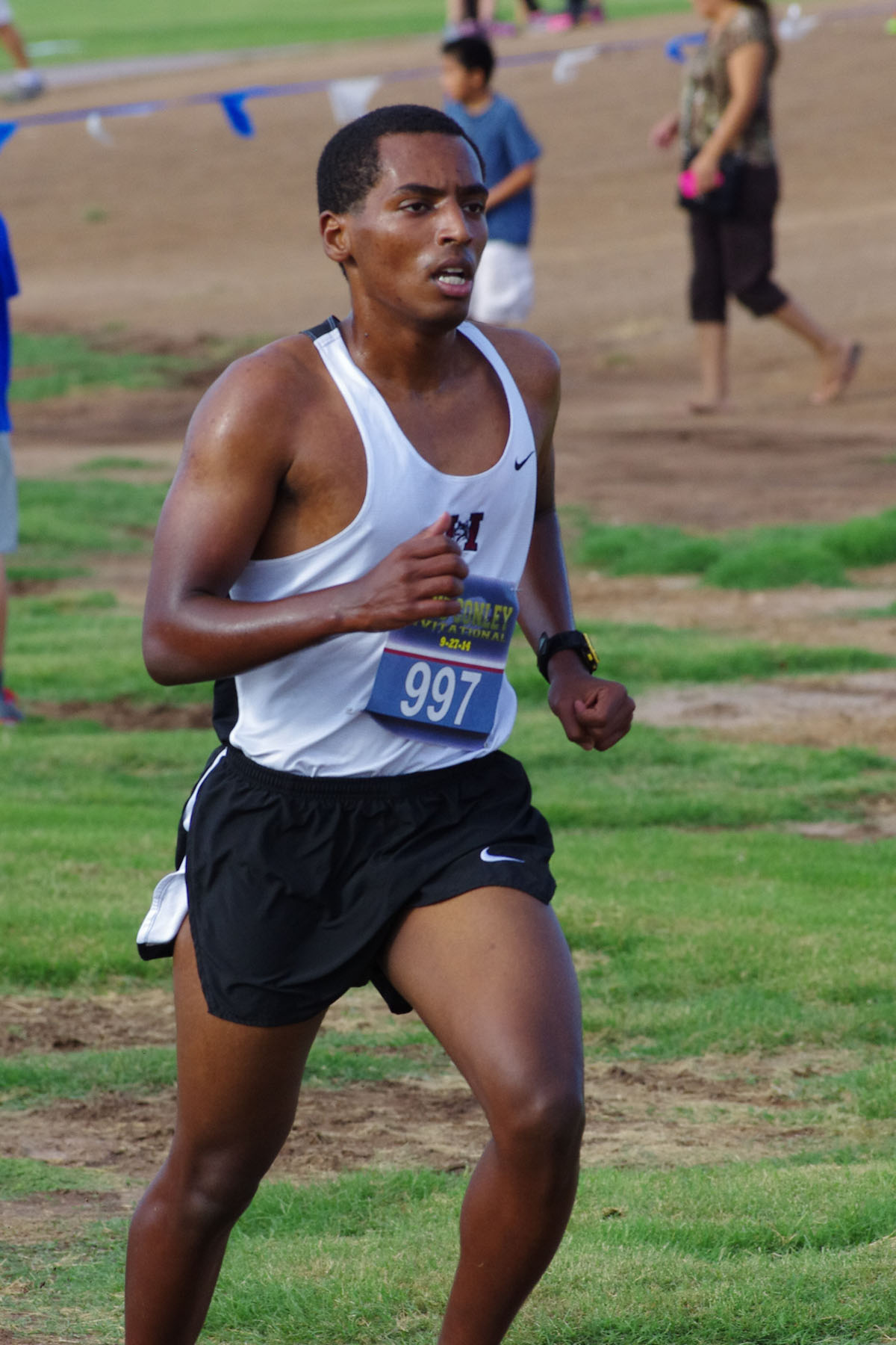 IMGP3064_C.jpg