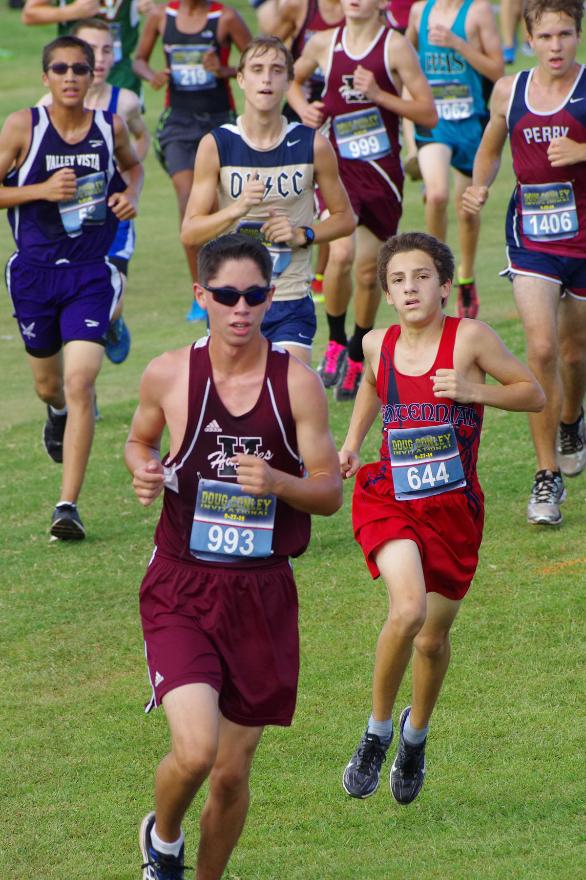 IMGP3090_C.jpg