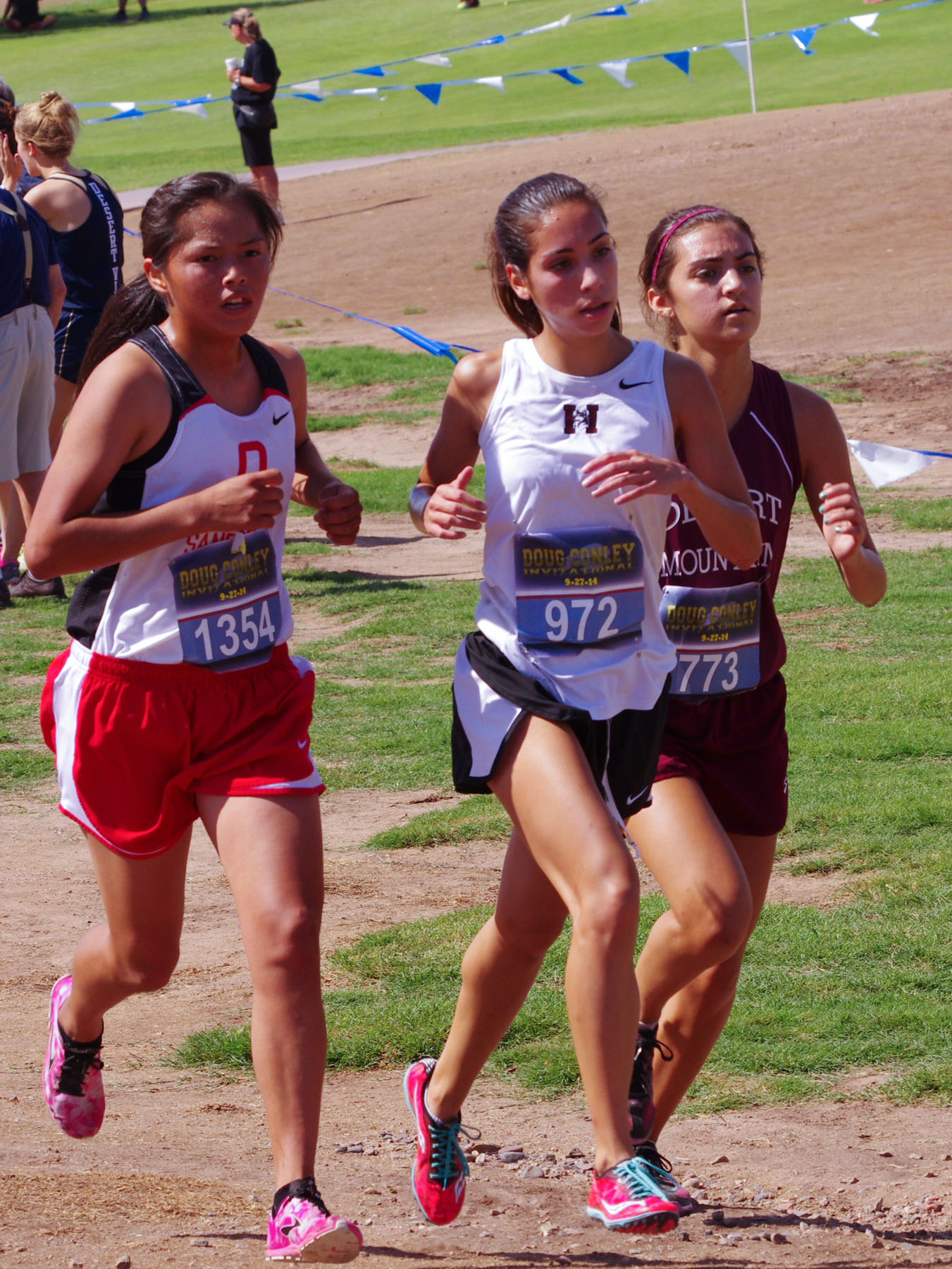 IMGP3331_CE.jpg