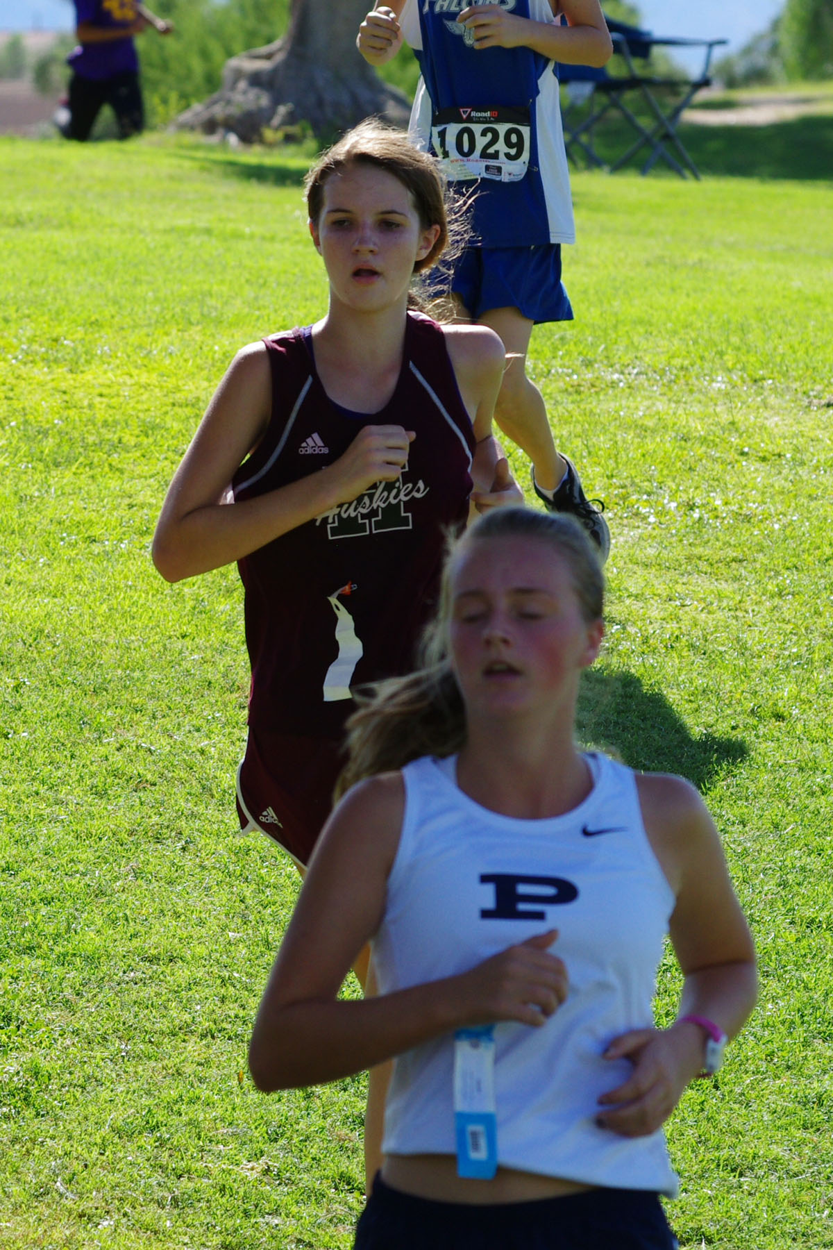 IMGP2838_C.jpg