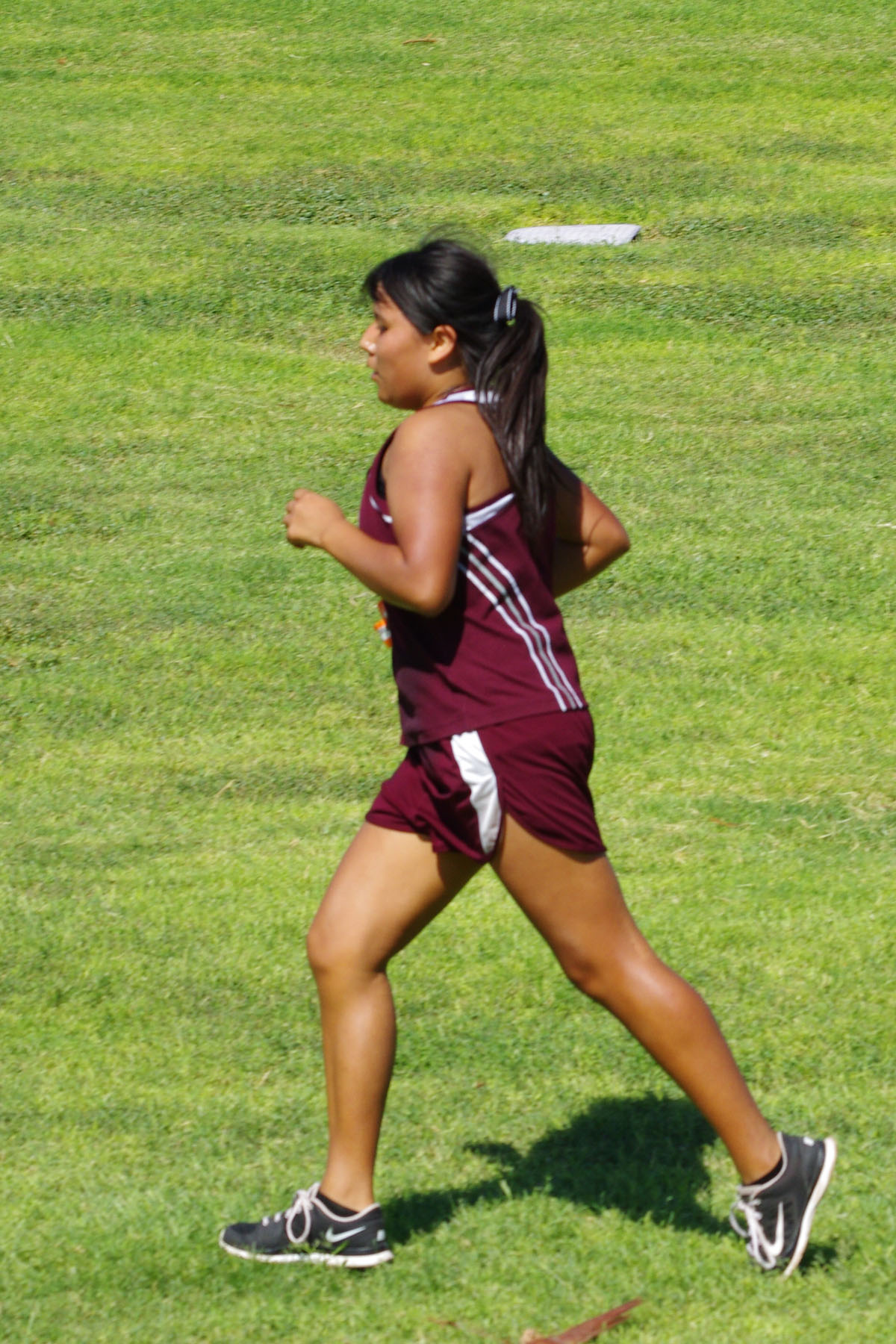 IMGP2846_C.jpg