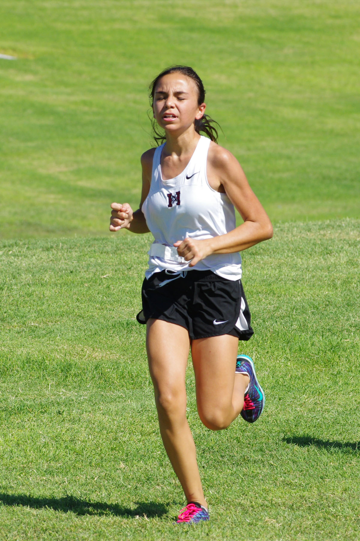 IMGP2857_C.jpg