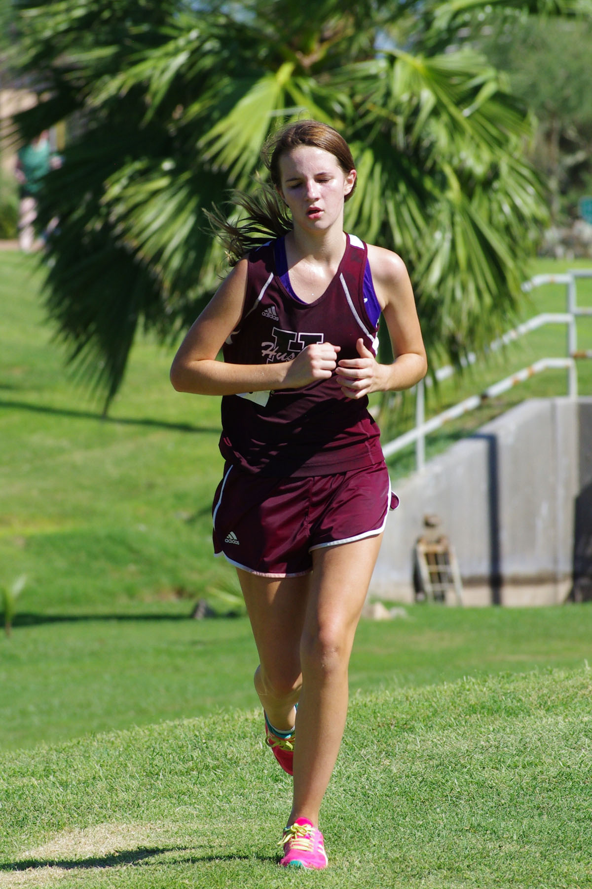 IMGP2861_C.jpg