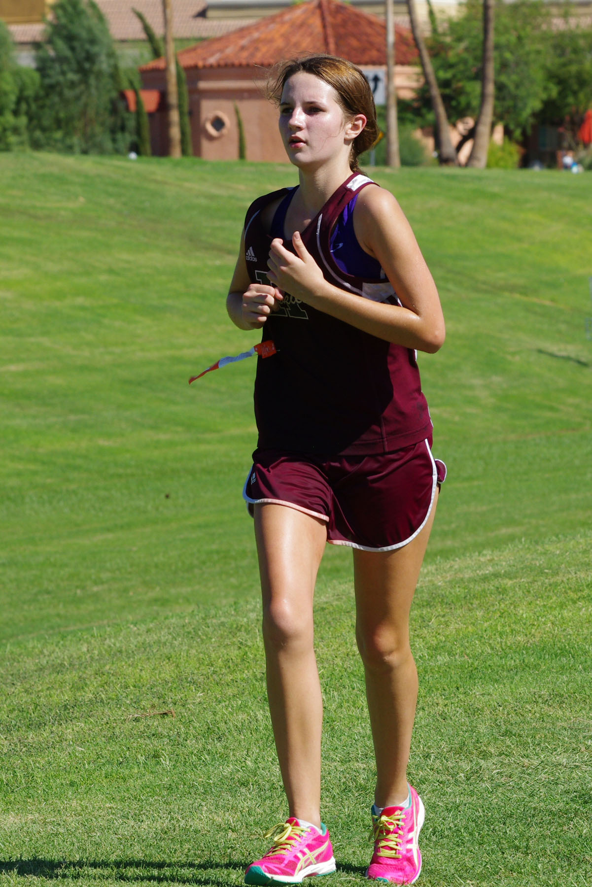 IMGP2863_C.jpg