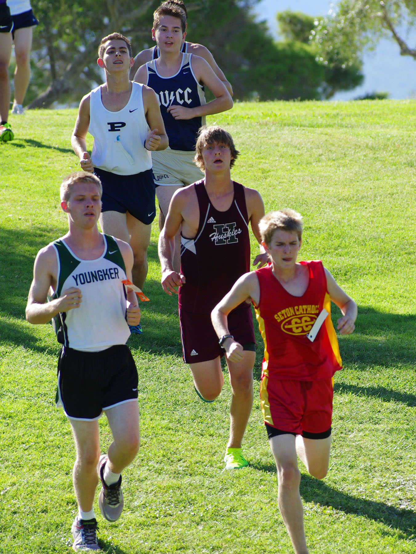 IMGP2754_C.jpg