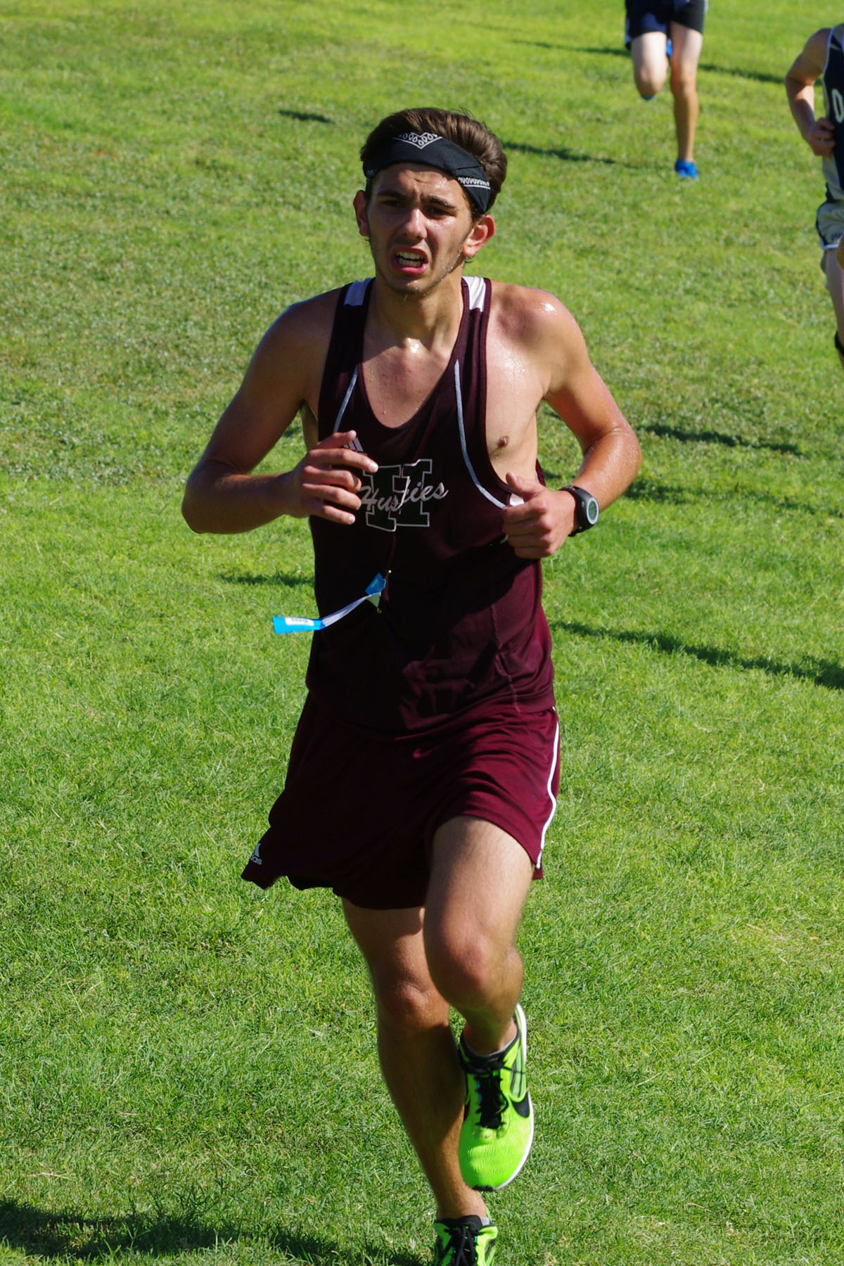 IMGP2780_C.jpg