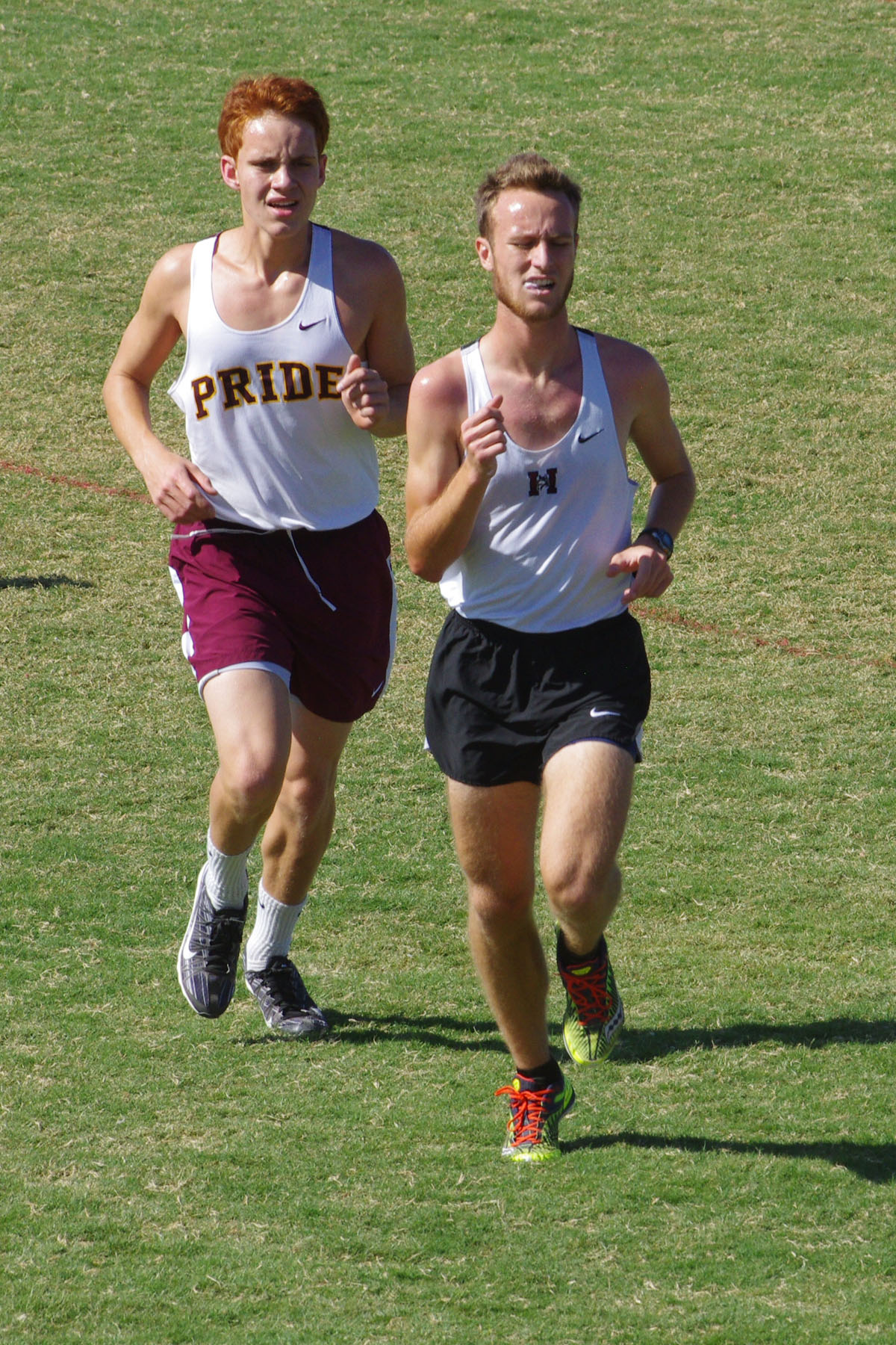 IMGP4446_C.jpg