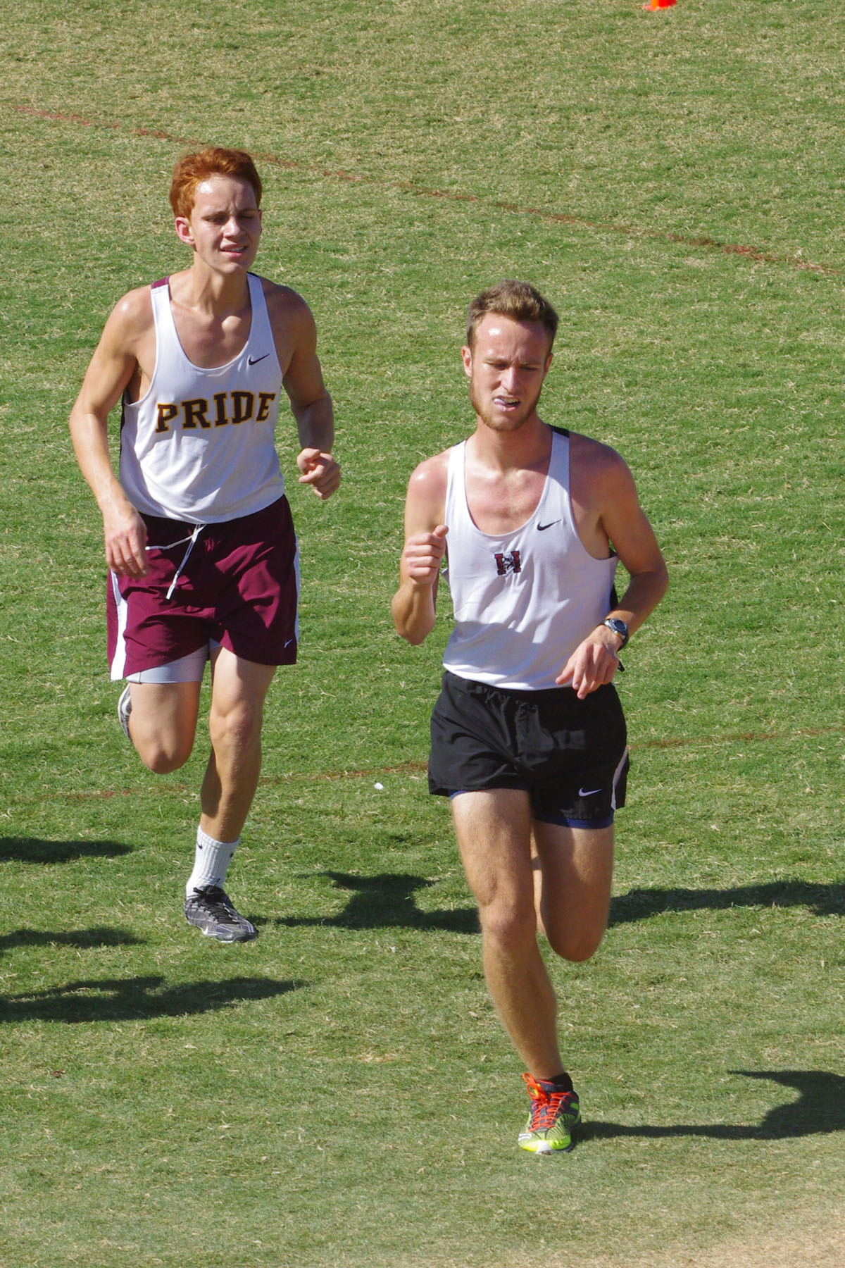 IMGP4447_C.jpg