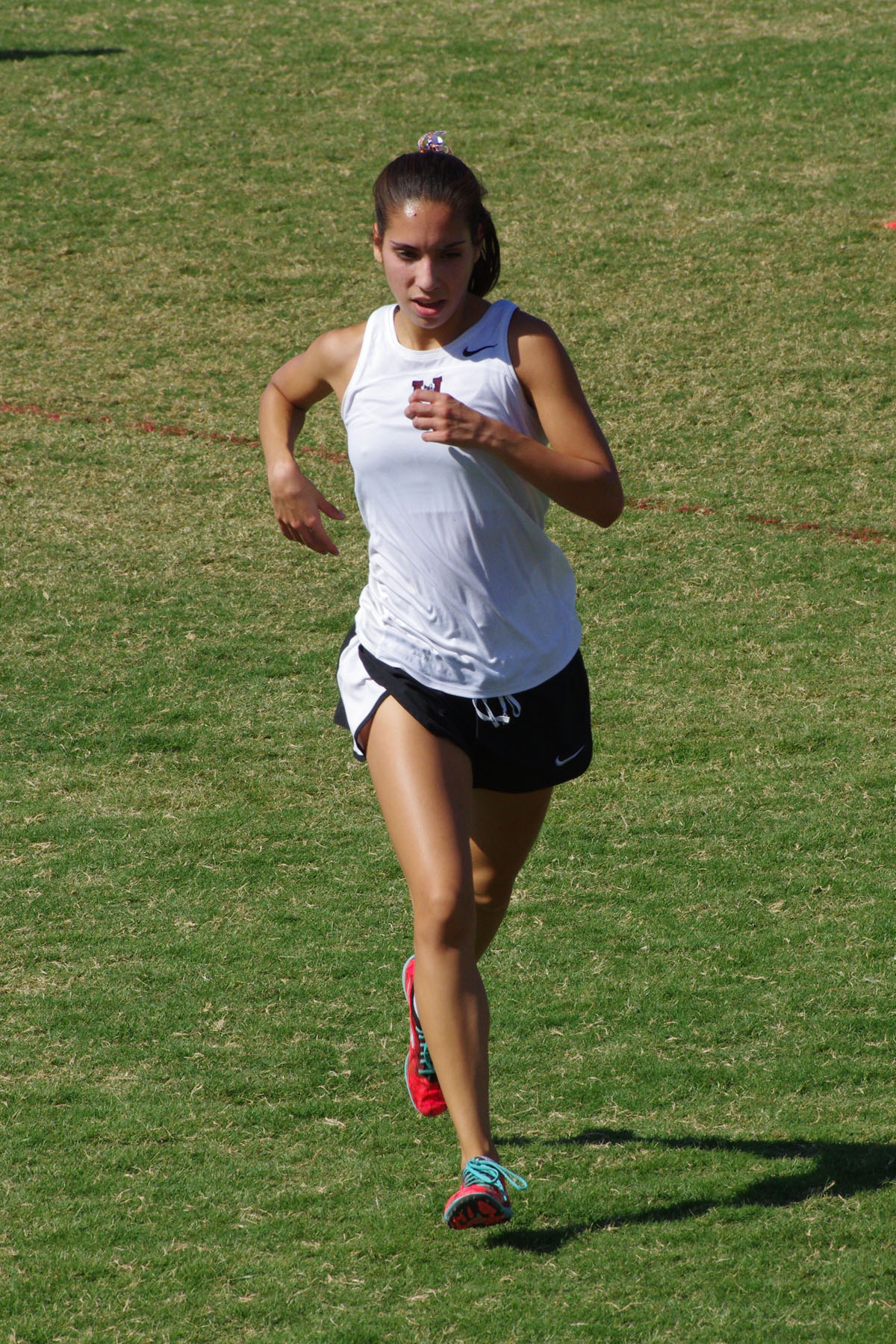 IMGP4297_C.jpg
