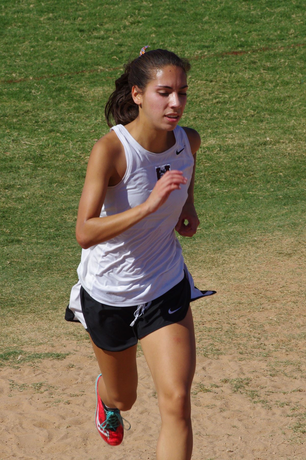 IMGP4299_C.jpg