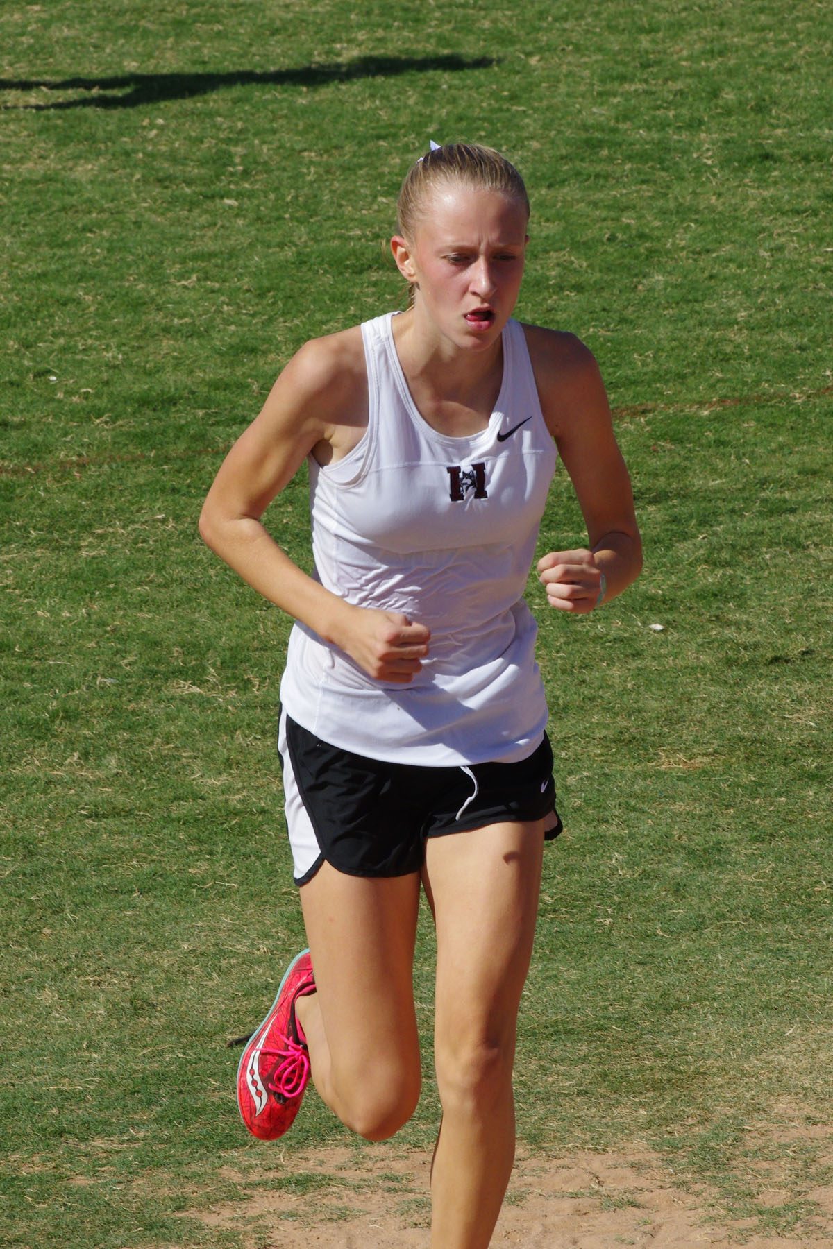 IMGP4307_C.jpg