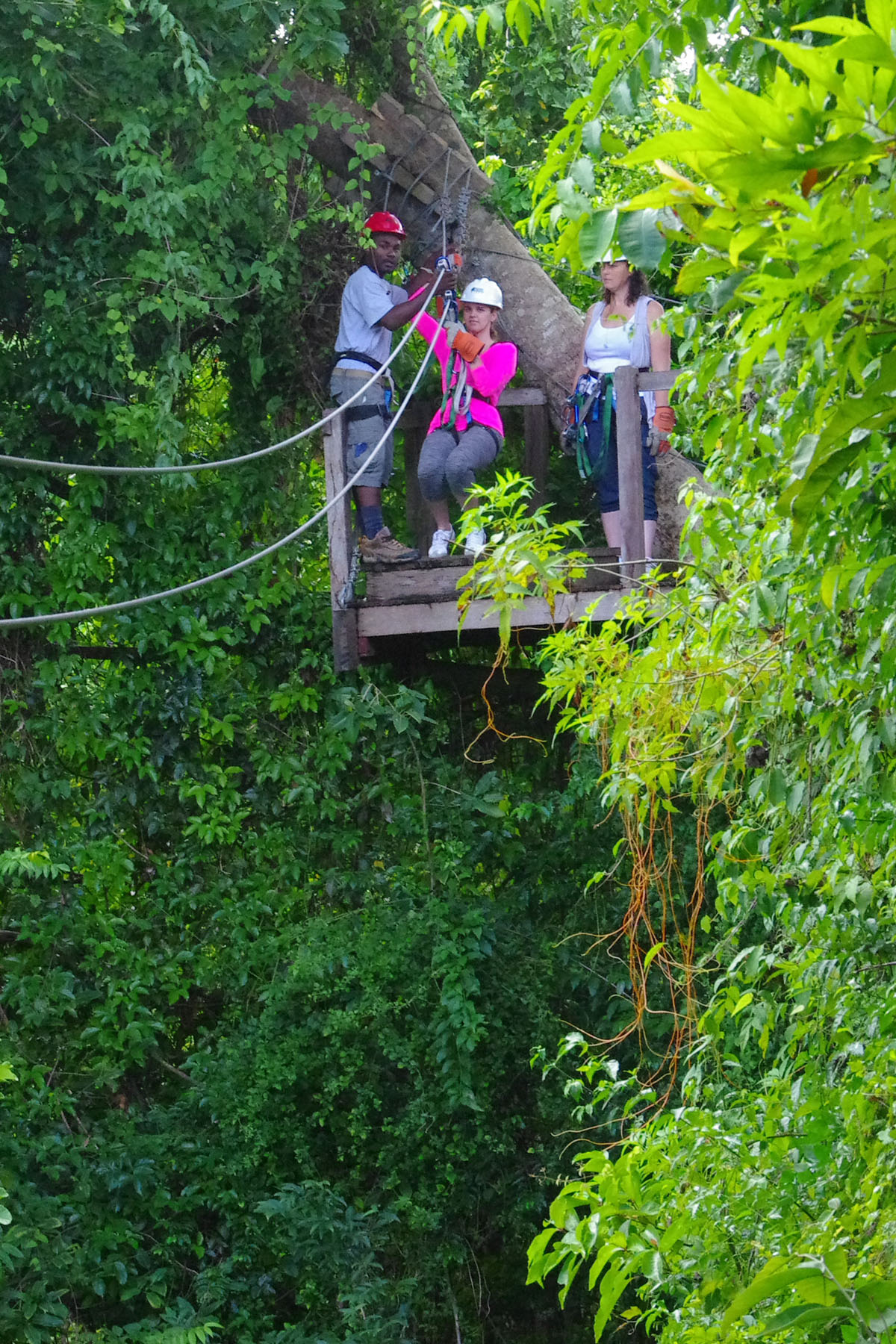 IMGP7875_C.jpg