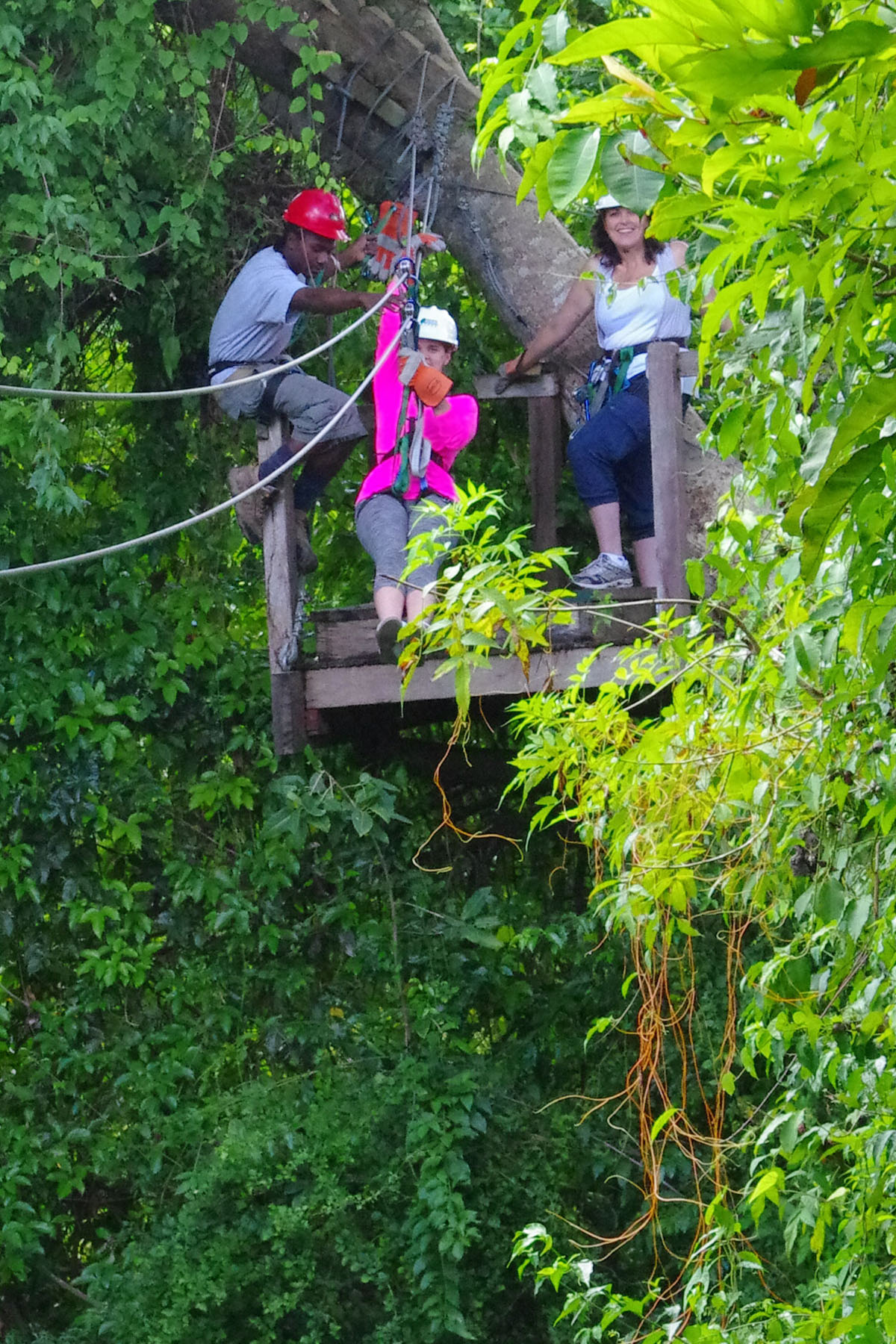 IMGP7876_C.jpg