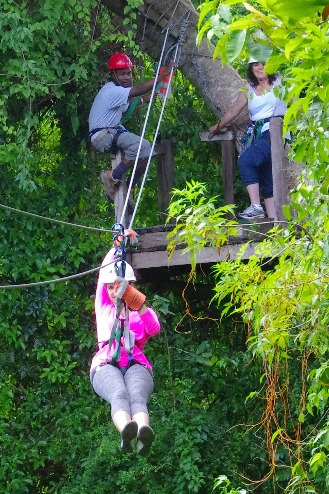 IMGP7879_C.jpg