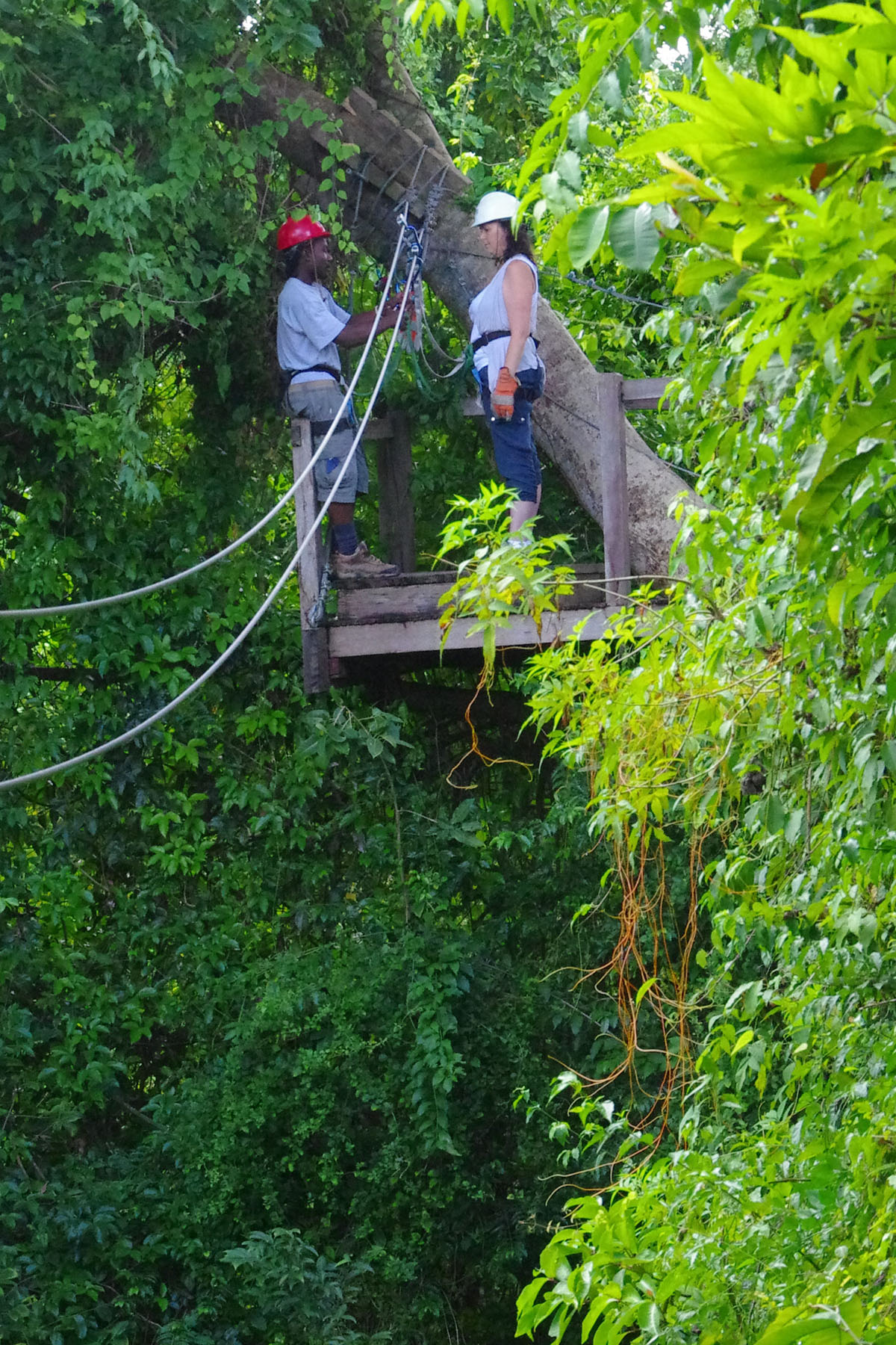 IMGP7886_C.jpg