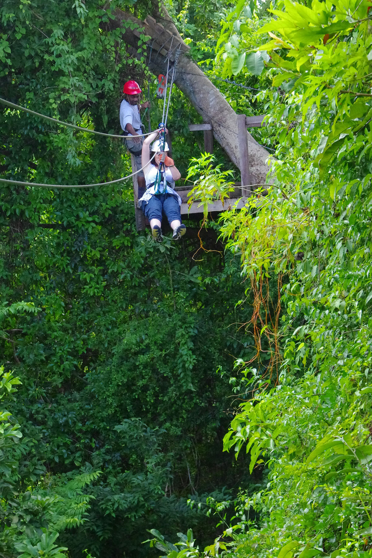 IMGP7890_C.jpg
